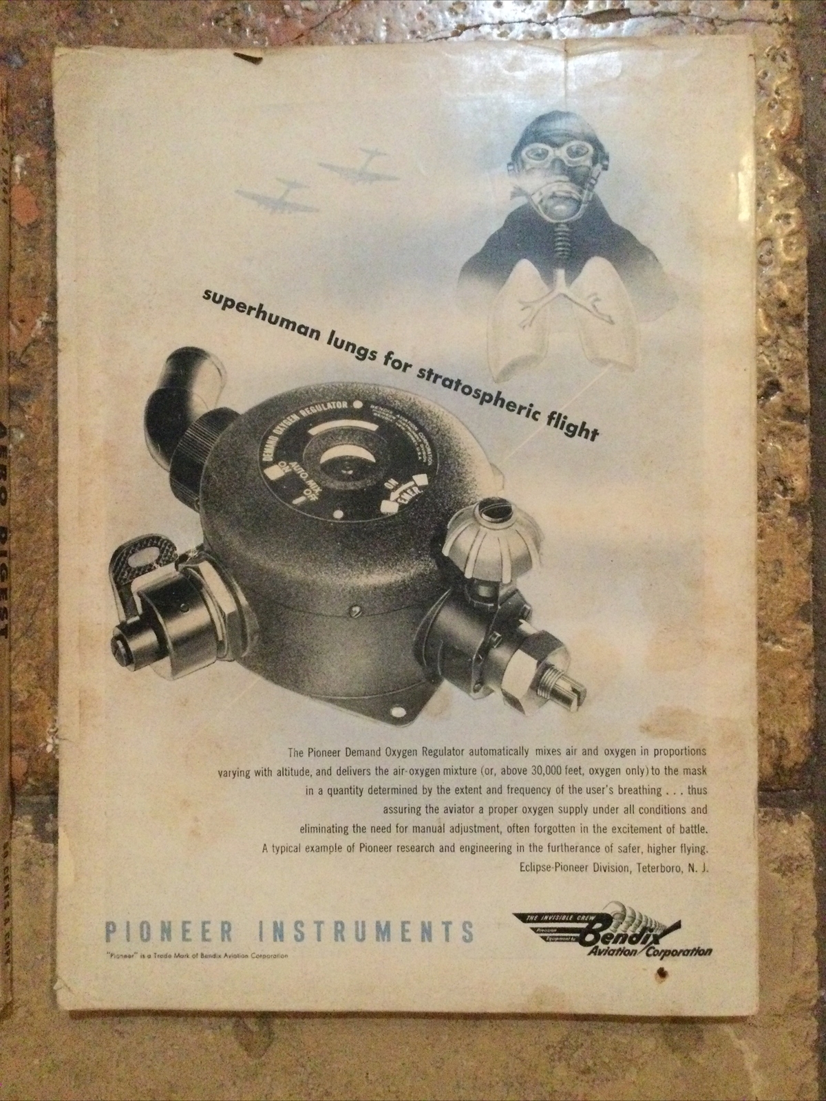 Picture 5 of 12