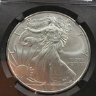 2015 W $1 Burnished Silver Eagle NGC MS69 black core holder.  040206