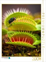 Calvendo Puzzle Venus Flytrap With Lunch | 2000 Pieces, Finished Size 35.4 × 26.