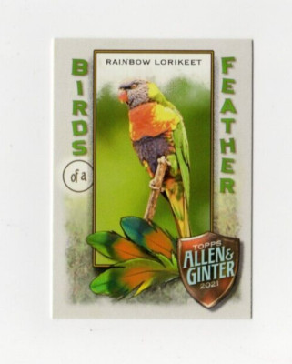 2021 Topps Allen & Ginter Birds of a Feather #BOF-10 Rainbow Lorikeet