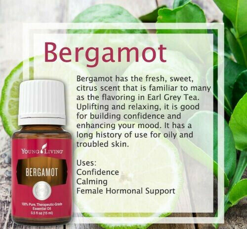 Bergamot 15ml Young Living Essential Oils 100% Pure Uplift Relax