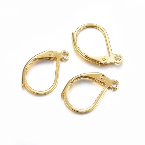 10 pcs Stainless Steel Leverback Earring Findings with Loop Jewelry Fi 15x10x2mm - 第 1/2 張圖片
