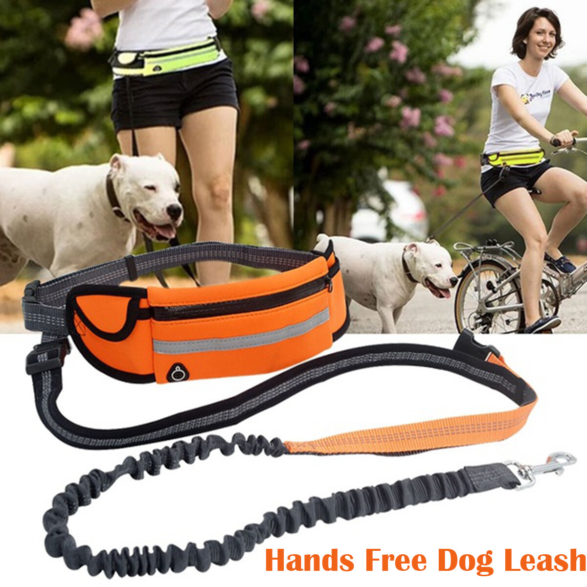 no hands dog leash