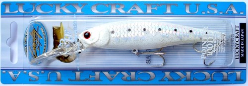 Lucky Craft Pointer 100 DD Angeln Japan Wobbler, Köder, Hecht,Raubfische,Zander - Bild 21 von 24