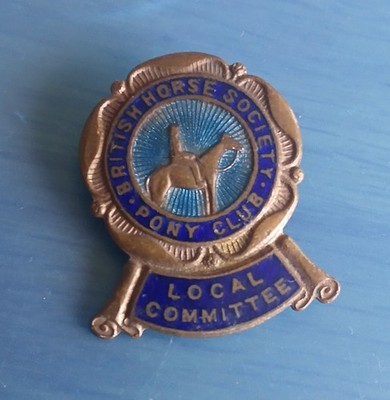 Vintage The British Horse Society Pony Club Lokales Komitee Emaille Brosche Abzeichen