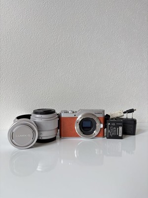 LUMIX mirrorless camera double lens kit DC GF9W | eBay
