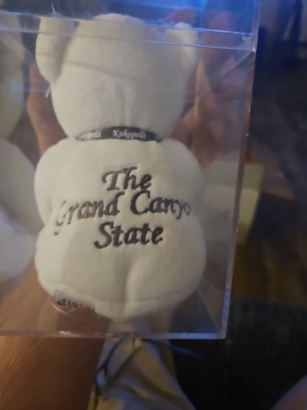Arizona Embroidered Kokopelli Grand Canyon State Plush Bean Bear Souvenir 2003