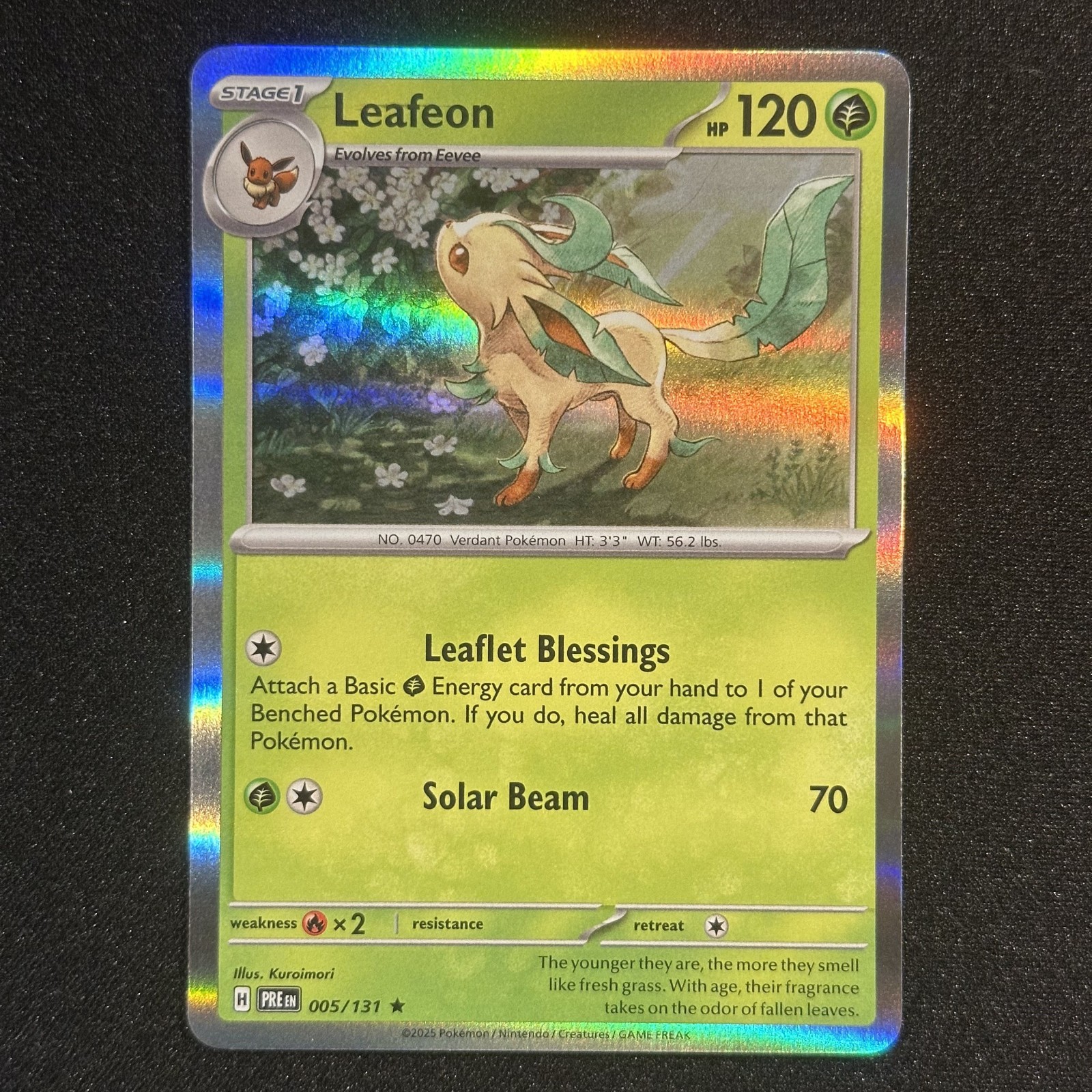 Leafeon 005/131 Holo Rare Prismatic Evolutions - Pokemon TCG  2025 - Near Mint