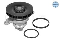 Meyle Wasserpumpe, MotorküHlung U.A. FüR Alfa Romeo, Fiat, Jeep