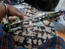 Bear Apprentice compound bow