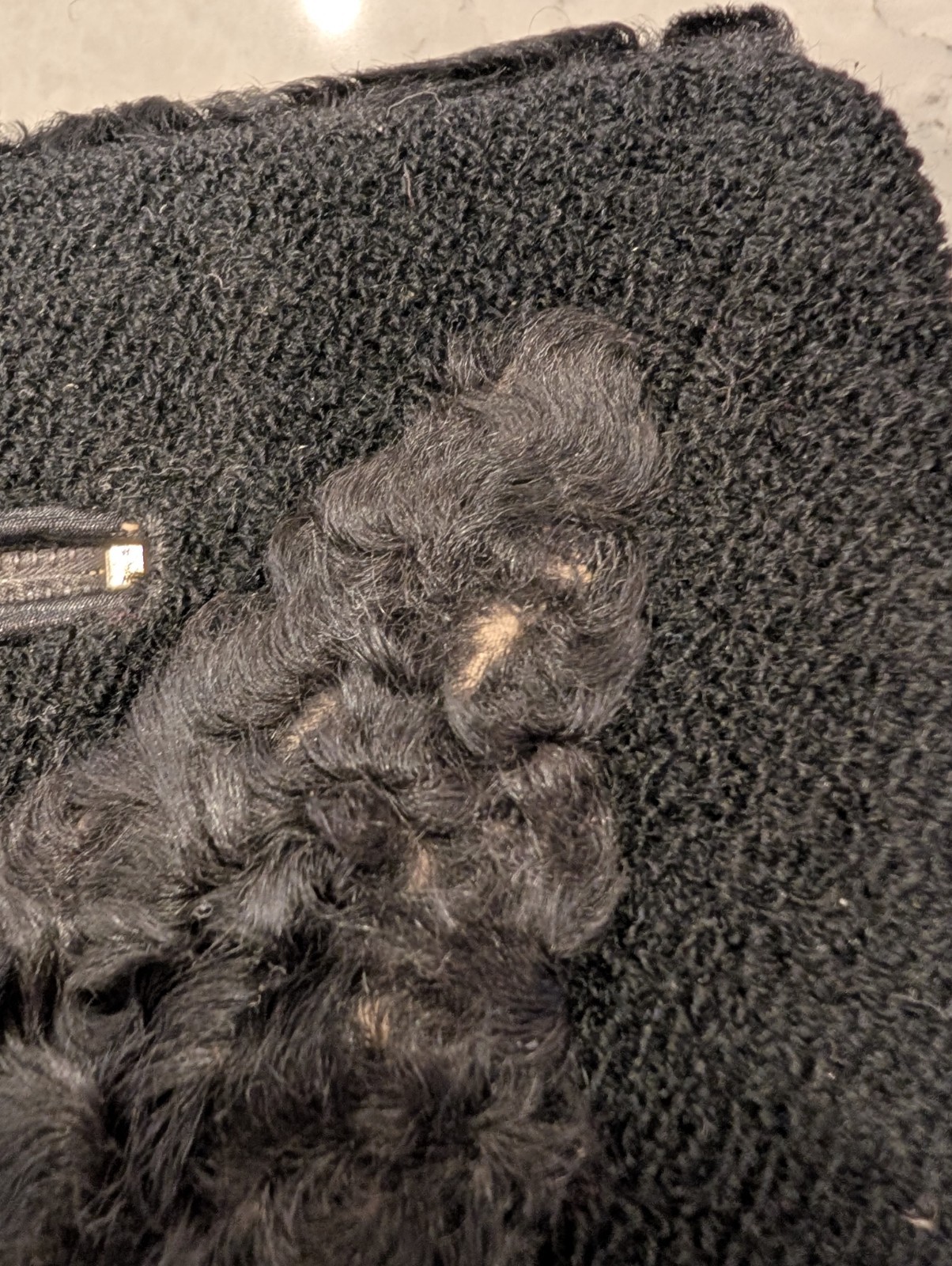 Antique Persian Lamb Rectangular Muff Hand Warmer… - image 7