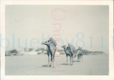 1950s  Karachi Pakistan on the dunes Beach 3.5x2.5