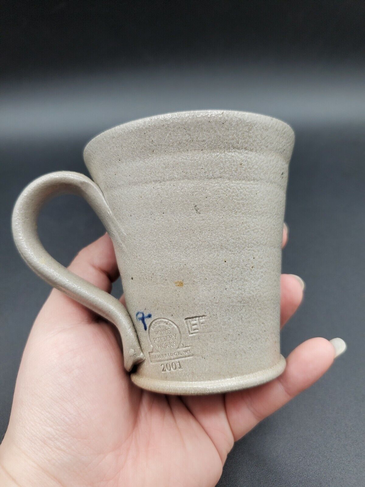 Rowe Studio Art Pottery 2001 Salt Glaze Mug Cup Apple Pumpkin? 