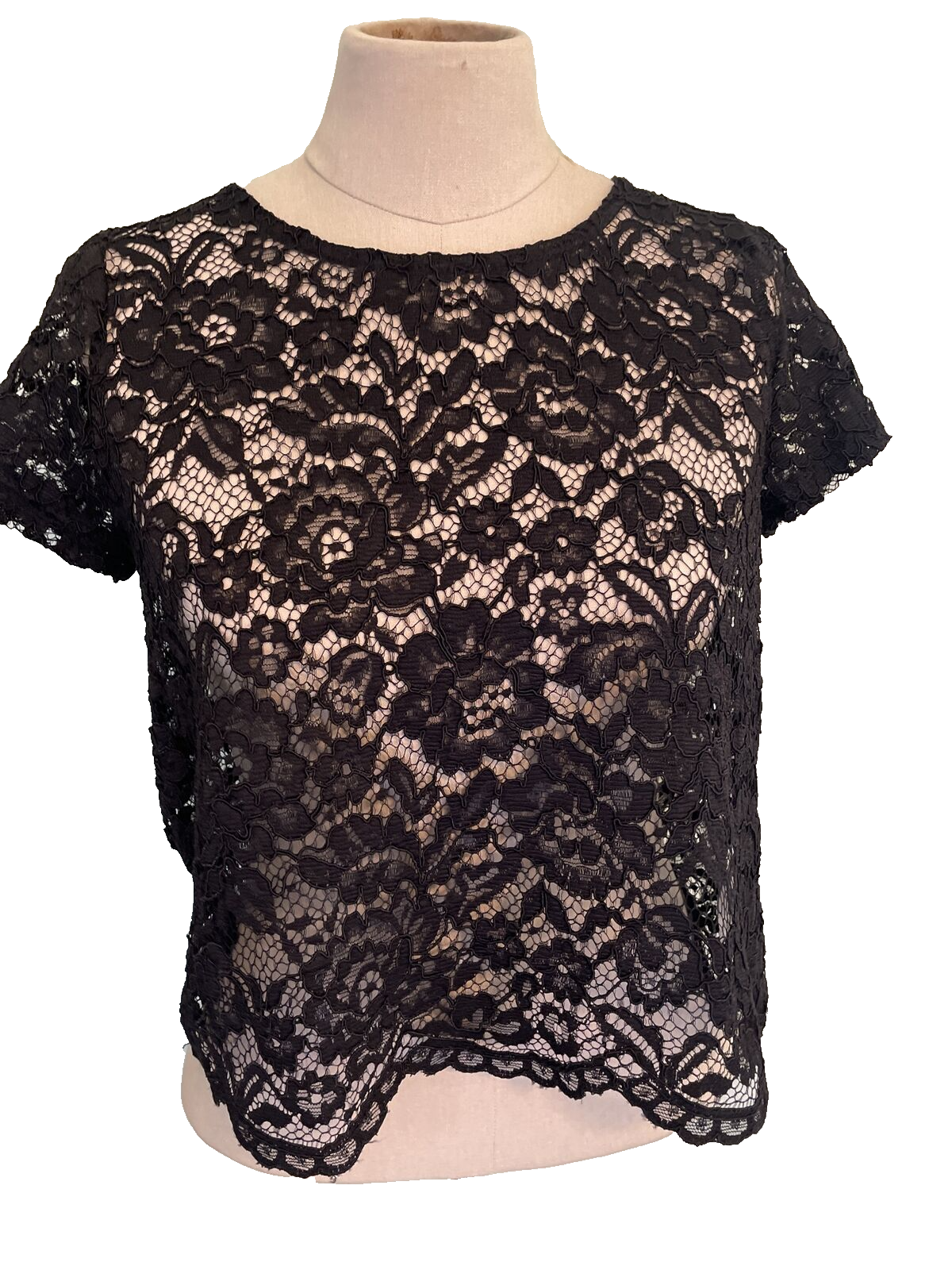Lacy Crop Top Shirt Blouse Whimsigoth Fairy Gothic Y2k 90s Trashy Sexy-image