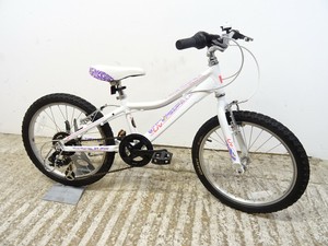giant 20 inch mountain bike