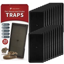 Super Glue Traps 20 Pack for Mice & Snakes Larger Heavier Sticky Traps with N...