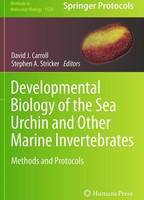 David J. Carroll (U. A.) | Developmental Biology Of The Sea Urchin And Other...