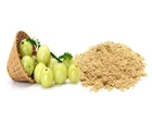125g Organic Amla Powder