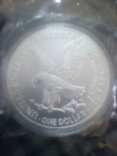 2025 $1 American Silver Eagle 1 oz Brilliant Uncirculated. Free  ship with track