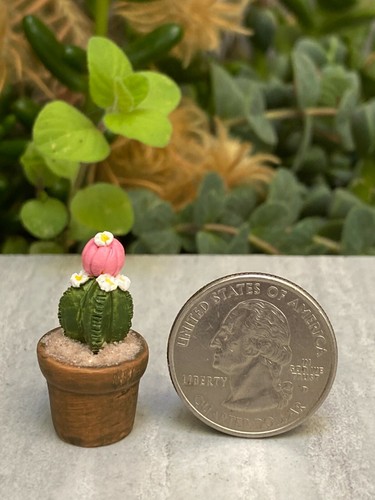 Maceta miniatura de cactus con flores rosa y blanca para casa de muñecas FAIRY GARDEN ~ Compra 3 ahorra $6 - Imagen 2 de 2