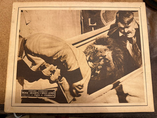 Weak Hearts And Wild Lions 1919 Century 11x14" silent comedy Jimmie Adams lions