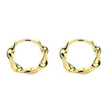 Nap Earrings Tiny Huggie Hoop Earrings Small Gold Twisted Hoop Earrings for W...