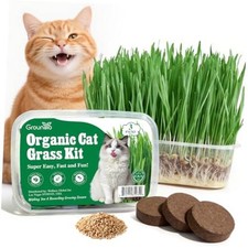 Cat Grass Kit for Indoor Cats 3 Pack, Organic Non-GMO Cat Gat Grass Seeds Kit
