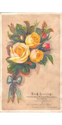 Victorian Trade Card Theo. Schenck Alf Cooke Roses 1890s Floral Flowers