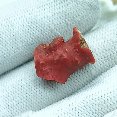 editerranean Sea Coral Loose Rough-Amazing Red Coral Branch Shape Red Coral Roug