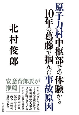 The Cause of the Accident Grasped After 10 Years of Struggle from Experie [Book]