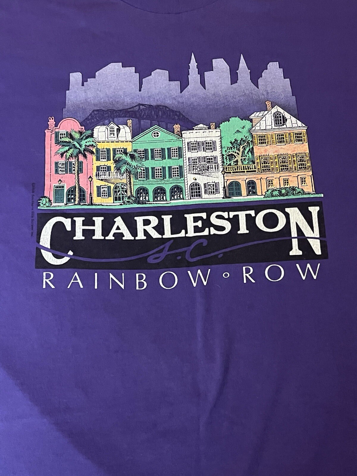 T shirt vintage Charleston South Carolina fila arcobaleno punto singolo taglia XL viola