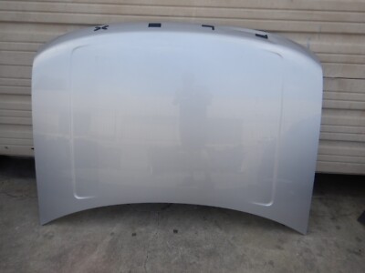 2009 TO 2019 FORD FLEX HOOD OEM | eBay
