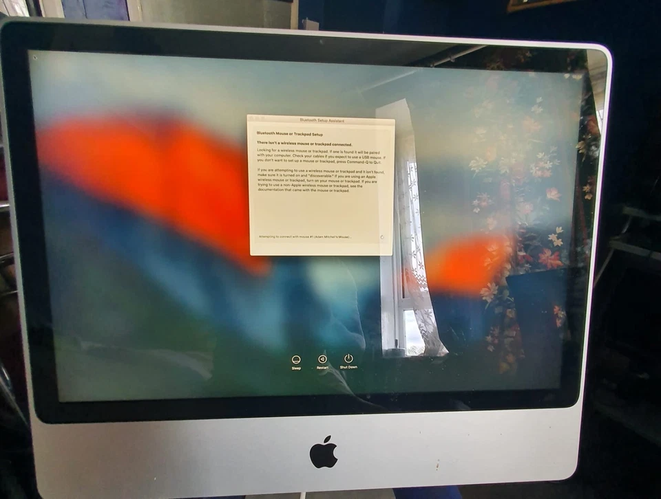 Apple iMAC 24 pulgadas 640 GB 4 GB RAM 3.06 GHZ principios de 2009, con teclado y mouse  Foto 3 de 4