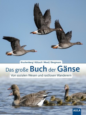 Helmut Kruckenberg (u. a.) | Das große Buch der Gänse | Buch | Deutsch (2022)