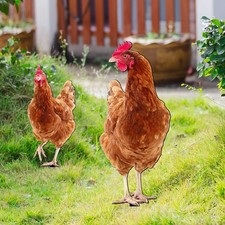  2pcs Acrylic Yard Sign Decorative Chicken Stake Sign Outdoor Garden Layout