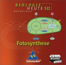 Biologie heute entdecken - Ausgabe 2004 für die Sek... | Buch | Zustand sehr gut