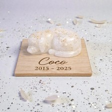 Resin Pet Memorial Ornament ? Dog Keepsake with Ashes or Fur