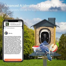 Smart Solar Bird Feeder with Camera AI Identify 2K Auto Record Video Instant Not
