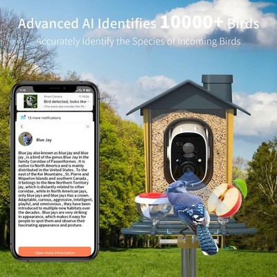 Smart Solar Bird Feeder with Camera AI Identify 2K Auto Record Video Instant Not
