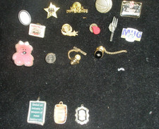 Vintage Lot 17 Various Themed Hat/Lapel Pins / Charms Pre-Owned