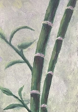 Aceo Original Oil Painting Bamboo 2