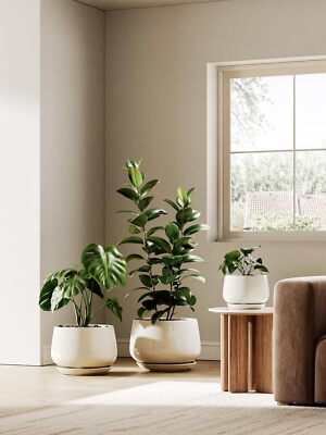 Ceramic Planter with Drainage Hole and Tea Tray Beige Reactive Glaze Planter