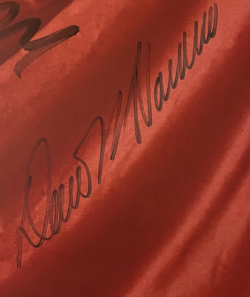 JANE'S ADDICTION Ritual De Lo Habitual 1990 US AUTOGRAPHED PROMO POSTER Signed - Image 4 of 4