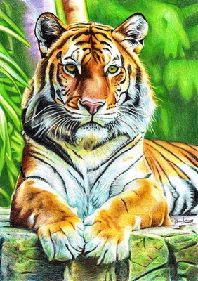 Original A3 Zeichnung eines Tigers, Derwent Prismacolor Bleistifte. Einzelstück Original