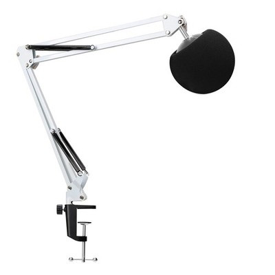 Mic Stand with Pop Filter - Microphone Boom Arm Stand with Foam Cover Windscr...