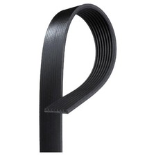 Gates Keilrippenriemen 8PK1122 11289887028 | 172563