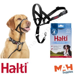 halti lead to stop pulling