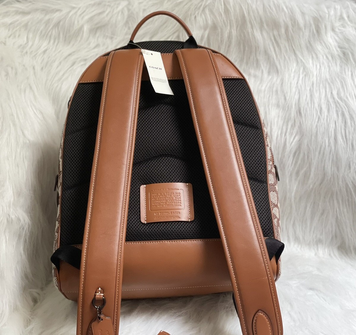 Coach X Tom Wesselmann Charter Backpack In Signature Textile  display picture 1