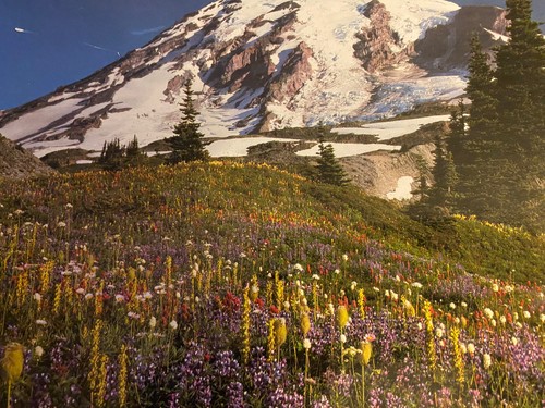 NEW Vintage MB Big Ben 1000 Piece Jigsaw Puzzle Mount Rainier, WA - Picture 2 of 4