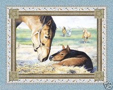 HORSE FABRIC PANEL NATURES GIFT quilt top wallhanging horse fabric CP34442 NEW